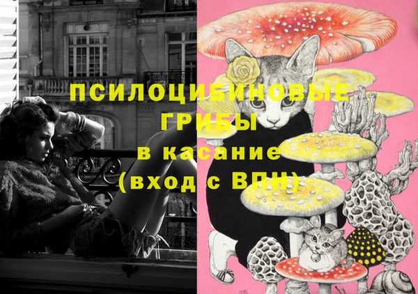 круглые Вяземский